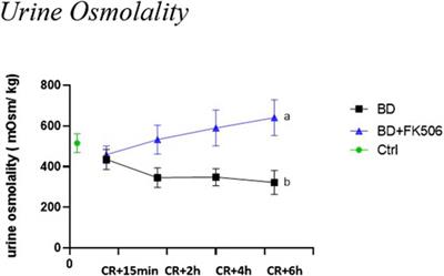 Cascading renal injury after brain death: Unveiling glycocalyx alteration and the potential protective role of tacrolimus